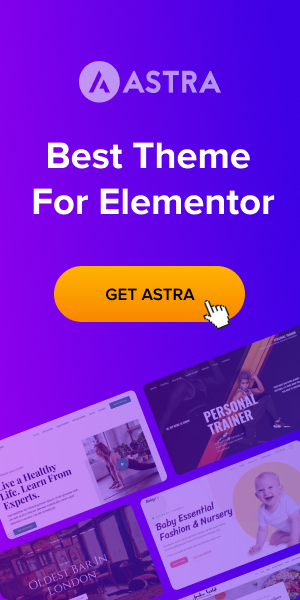 Best-theme-for-Elementor-300x600
